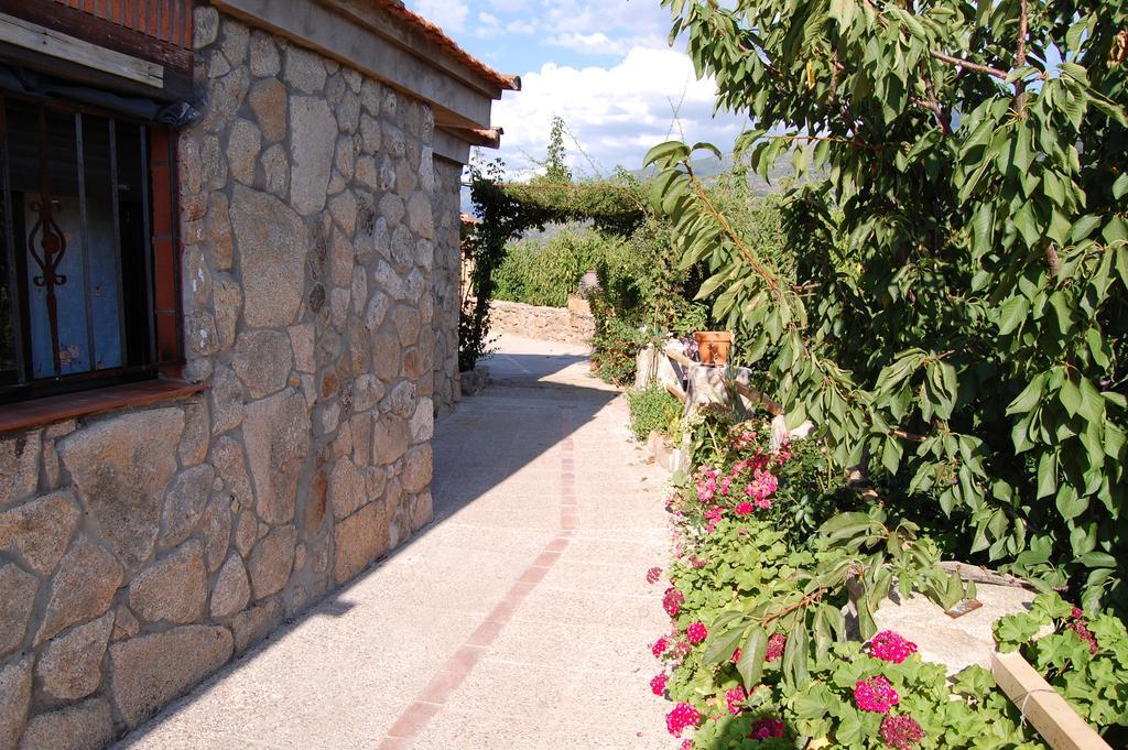 Casas Rurales Carrizosa Navaconcejo Dış mekan fotoğraf